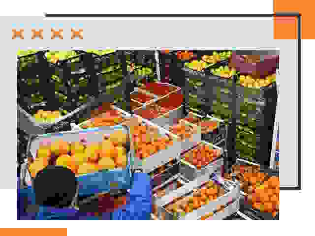Перевозка скоропортящихся продуктов в Губкине